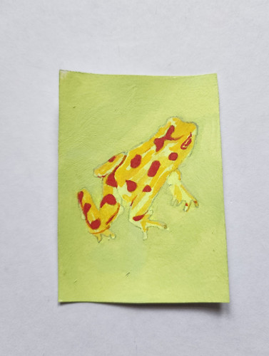 ACEO Original Acrylic Painting of a Yellow Dart Frog by Kiva