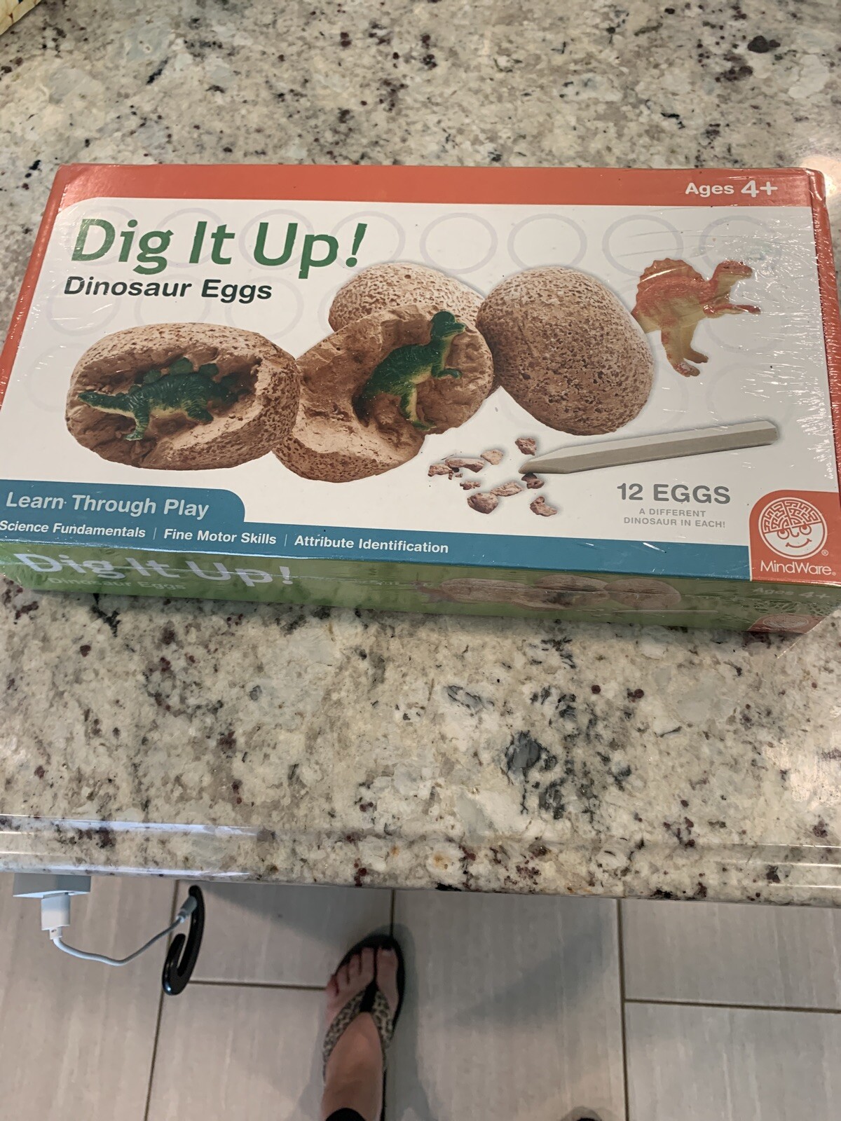 mindware dig it up dinosaur eggs