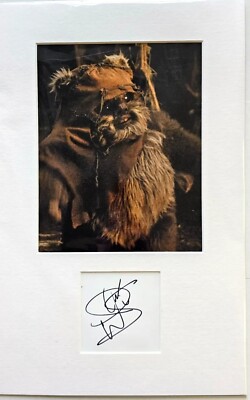 Warwick Davies as Wicket HAND SIGNED mounted autograph with cert 18 x 12'' NEW