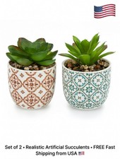 Artificial Plants Succulent Flowers in Ceramic Planter 2 Pack Small Fake Plants