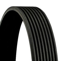 Keilrippenriemen Continental Ctam 8PK2080 FüR Mercedes Scania Vario B670 B668