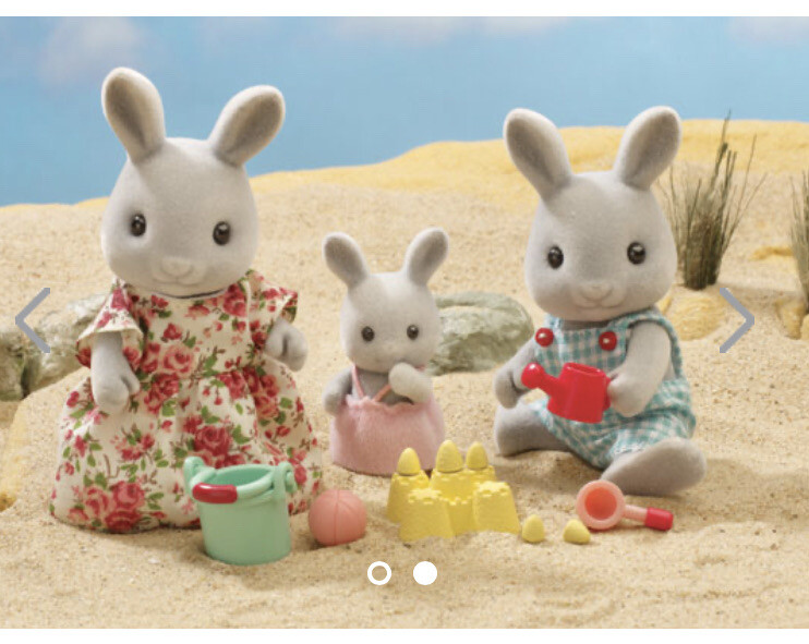 Sylvanian Families The Babblebrooks New Arrival Set RARE Flair