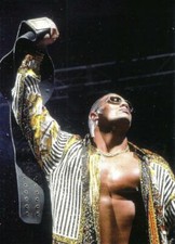 WWF THE ROCK DWAYNE JOHNSON IS "THE ROCK" CARTAS SÓLIDAS ROCK 1 A 72 ELEGIR