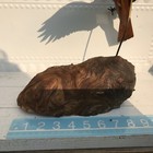 Bild 8 von 20