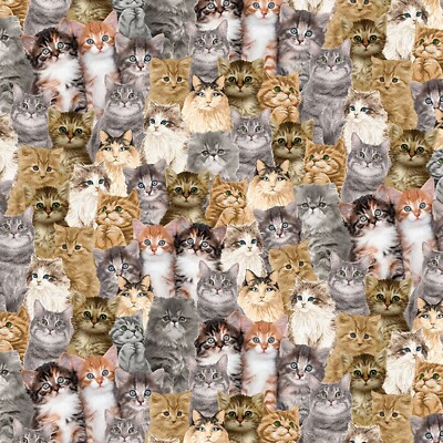 Feline Drive Fabric YOU HAD ME AT MEOW Packed Realistic Cats Sold by the Yard