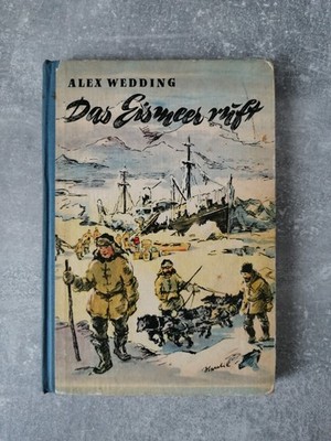 Buch: Alex Wedding   Das Eismeer ruft   Kinderbuch Abenteuerroman