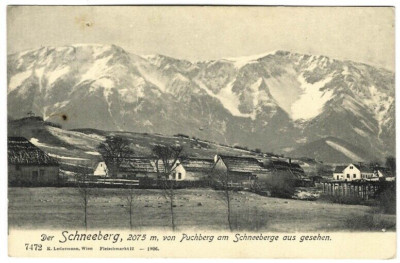 AK Schneeberg vom Puchberg aus gesehen 1906