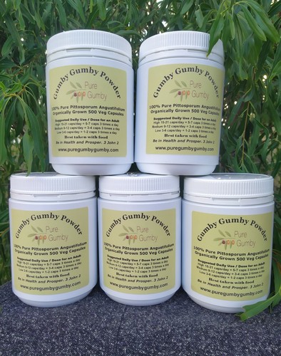 Bulk Buy 1000 Veg Caps Size 00 30% More Pure Gumby Gumby - Picture 1 of 12