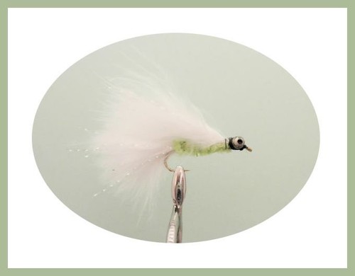 40 Autumn Trout Fishing Flies - Boxed Set, GOOD VARIETY, Mixed Size NBX75 - Picture 6 of 12