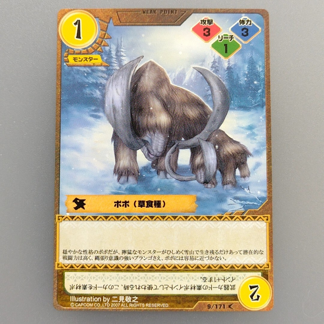 Monster Hunter Trading card 