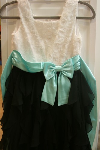 Rare Editions girls dress size 16 GUC - Picture 3 of 3