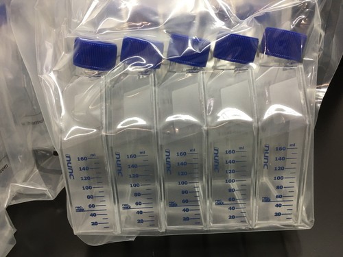 Thermo Scientific REF 156499 Nunc EasYFlask 75 cm2 Nuncio Delta Surface 9 PKS - Picture 4 of 24