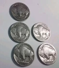 1935 - 1936 - 1937 - No Date. Buffalo Nickel 5c, Lot