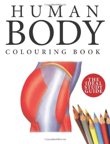 Human Body Colouring Book - Image 6
