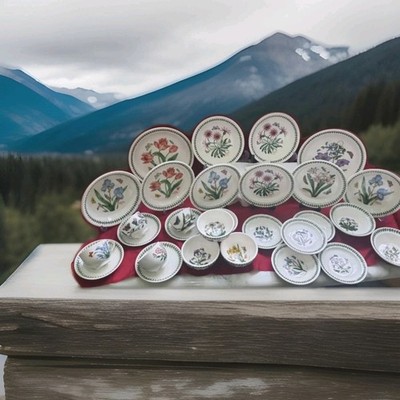 Portmeirion Botanic Garden 30 Pieces Dinner Set Brand New slightly