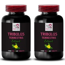 Standardized Tribulus extract - TRIBULUS TERRESTRIS EXTRACT - Tribulus Pills 2B