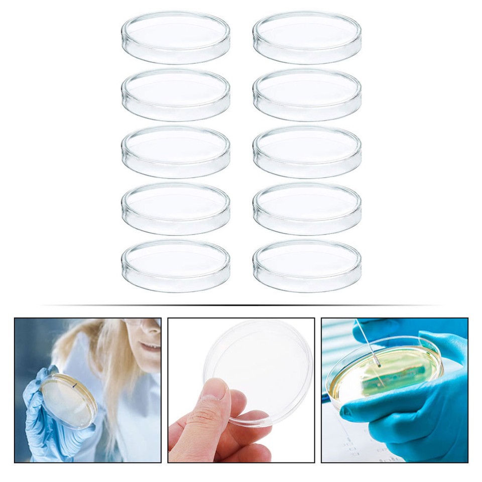 10Pcs Laboratory Culture Dishes Mushroom Agar Plates Agar Dishes eBay