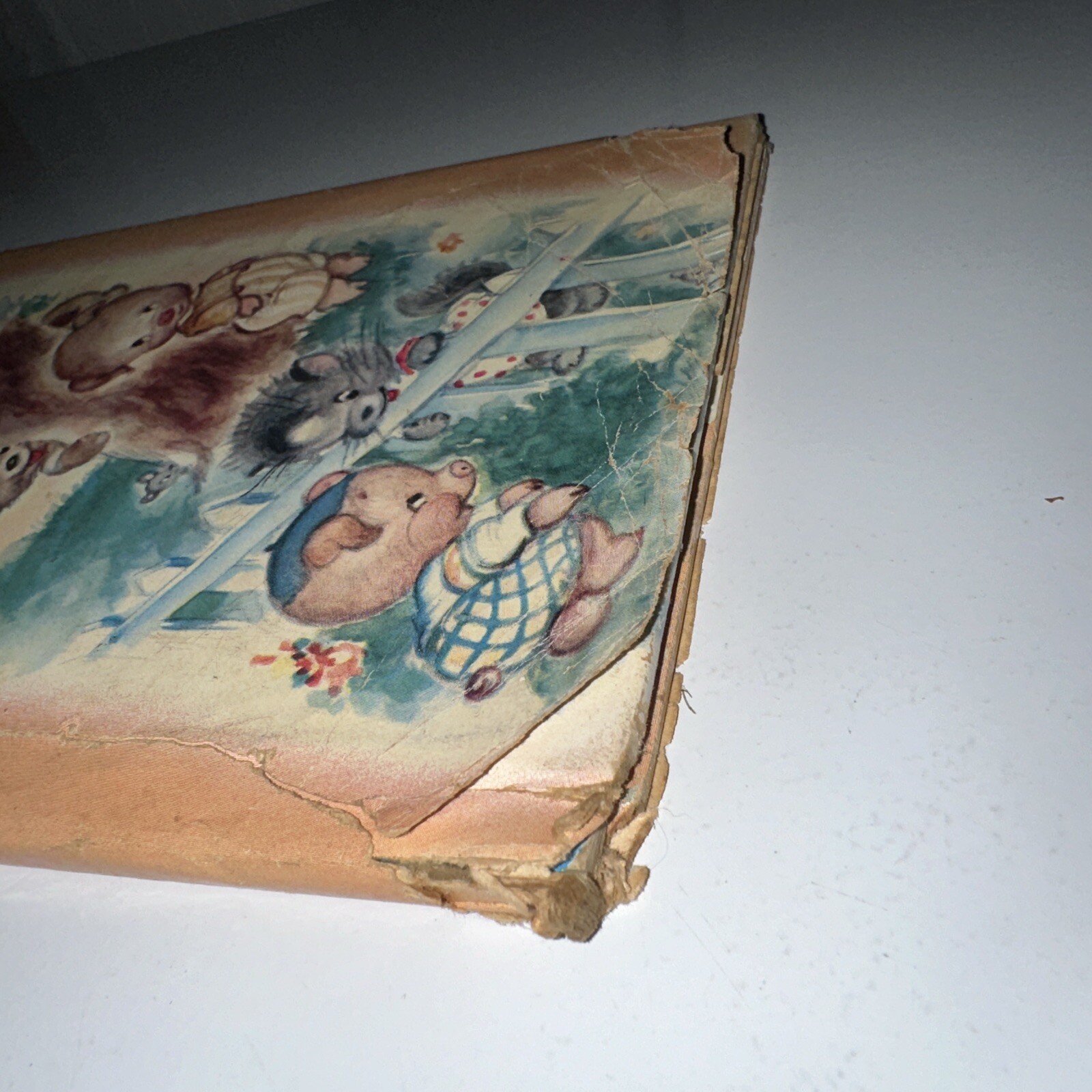 Bild 15 von 18
