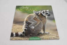 Baby Animals 16 Month Wall Calendar 2025 Carousel Calendars Plastic Free