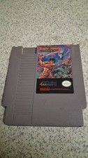 Wizards & Warriors (Nintendo Entertainment System, 1987)