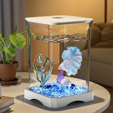 Fish Tank Betta Fish Tank Aquarium Mini Deskt...