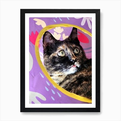Bacardi Portal Kunstdruck gerahmt Wandbild Poster Leinwanddruck Bild