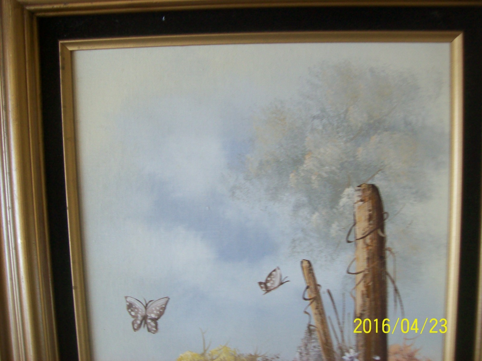 Bild 3 von 11