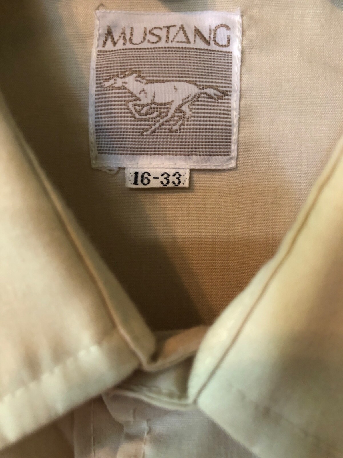 Picture 5 of 14