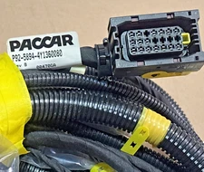 @ NEW GENUINE PACCAR OEM MAIN NGP CHASSIS HARNESS ~ P92-5894-4Y1360080