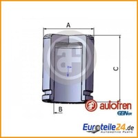 Kolben, Bremssattel Autofren Seinsa D025435 FüR Hyundai Getz