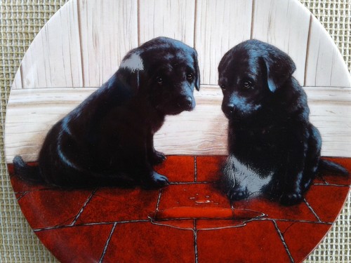 WEDGWOOD PLATE SELECTION - PLAYFUL PUPPIES COLLECTION by JOHN SILVER. - Picture 8 of 10