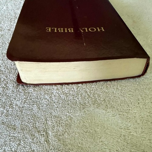 Santa Biblia Nueva Traducción Viviente Edición Regalo y Premio Granate - Imagen 5 de 11