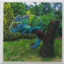 Tile Coasters Ceramic - Gardens - Set of 1 - ( Buy 3 sets Get 1 Set Free ) A