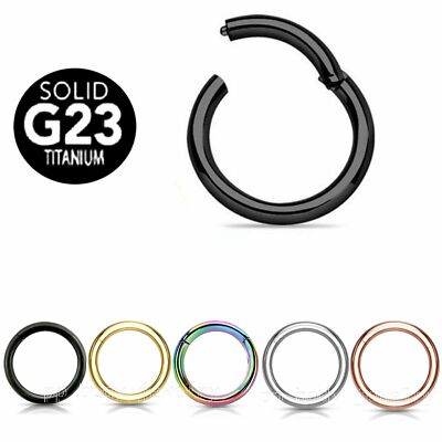 2x G23 Titanium Hinged Seamless Segment Ring Earring Cartilage Nose Hoop Septum 