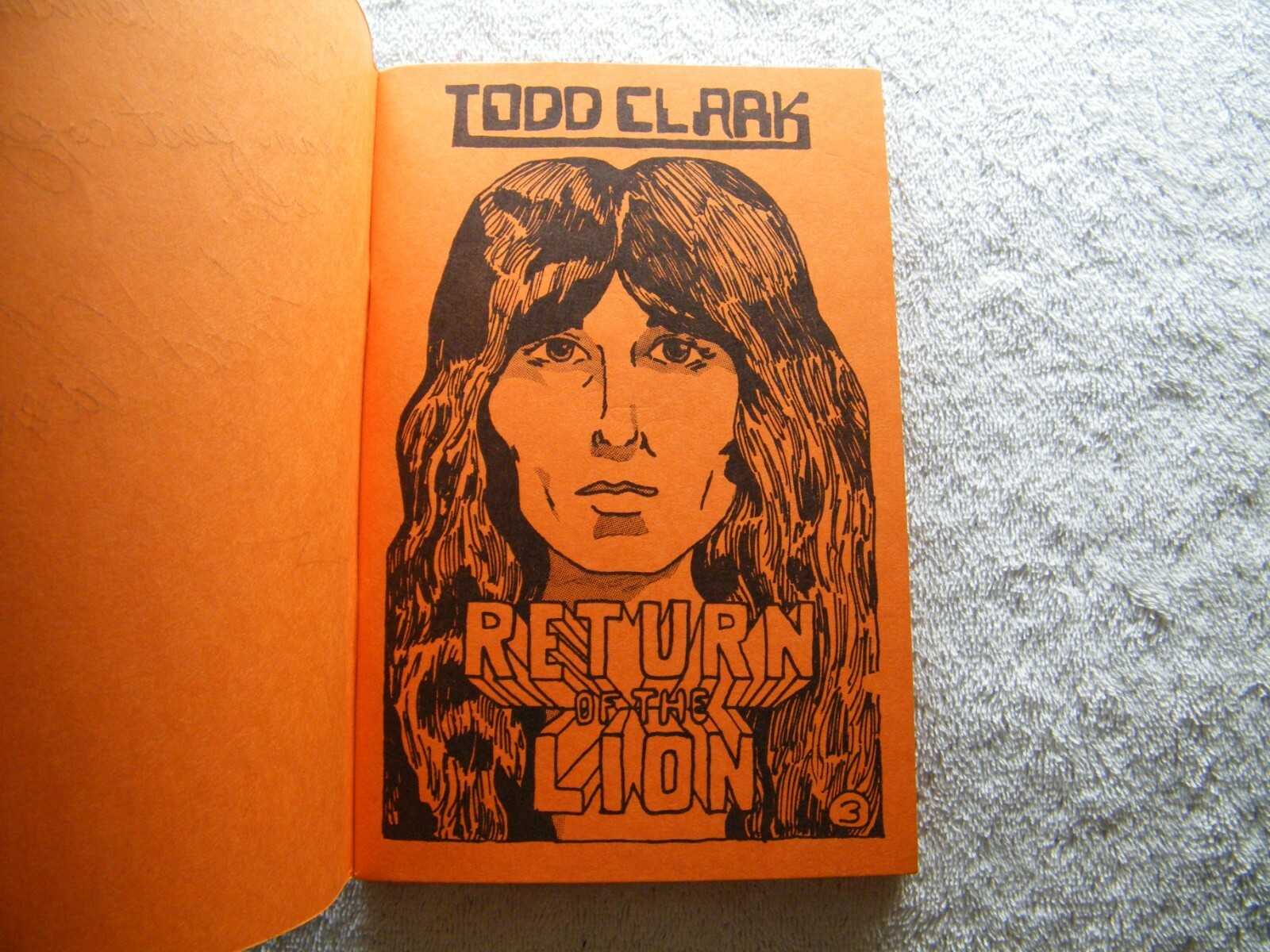 Picture 4 of 9