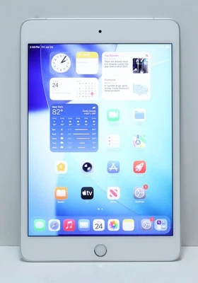 Apple iPad Mini (5th Generation) 256GB for sale - eBay