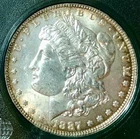 1887 Morgan Dollar TONER/Lightly Toned MS Beauty!