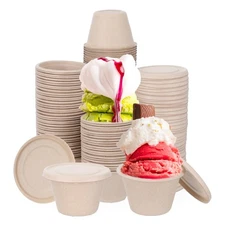 150-Pack 4 Oz Disposable Ice Cream Cups with Lids, Compostable Cups with Lids...