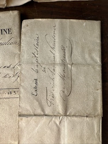 Document 19eme Frédéric Kursner Héraut De Genève Généalogie Passeport Suisse - Foto 12 di 23