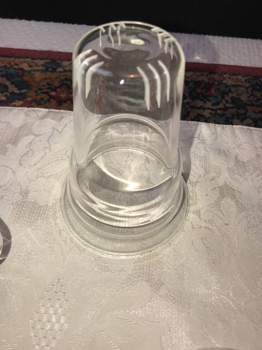 Primula Tea Pot with Loose Tea Infuser 4 Cup Clear Glass EUC - Picture 9 of 12