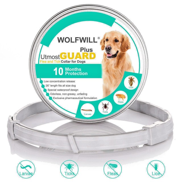 flea and tick protection