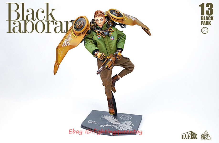 BLACK 13 PARK B13 Eagle 1/6 Accessories Display Set No Figure