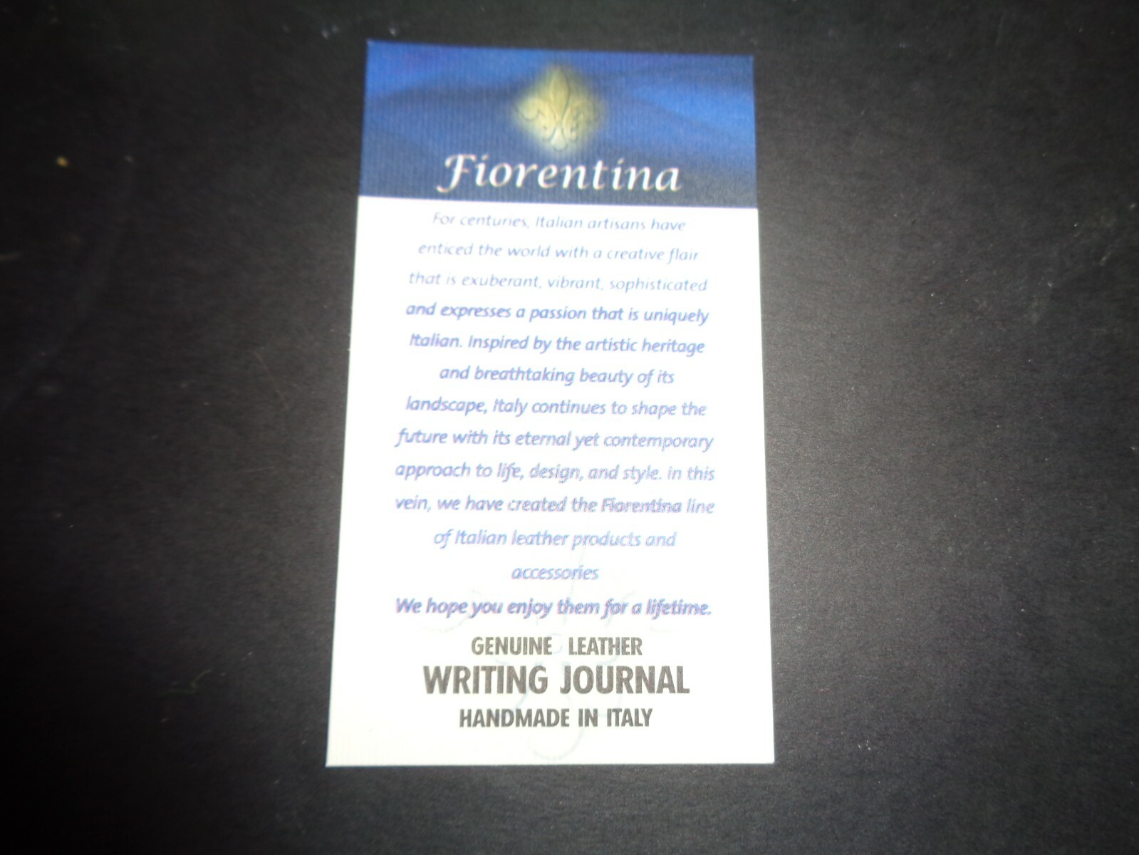 Fiorentina Italy Writing Journal Diary Light Green Leather New in Box