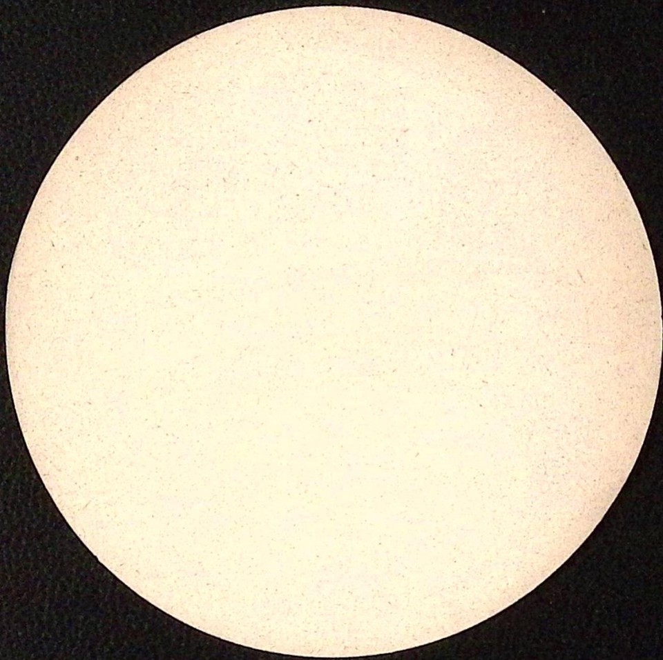 Joseph Rupp Full Fat Emmental Cheese GERMAN Vintage Label 4