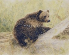 Rustic Bear in Pine Forest Watercolor Wall Decor Vintage Woodland Art Print