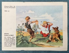 Natur-Bilder + Berliner Morgenpost + Sammelkarten + 1933+Bild  12 /  2504