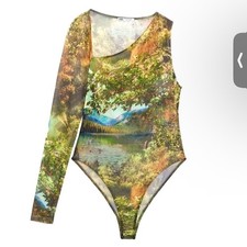 NWT Zara Mesh Bodysuit Size M
