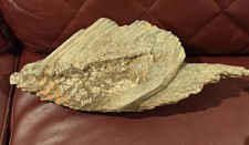 Beautiful 17" DRIFTWOOD Piece Terrarium Taxidermy Aquarium Art Reptile DECOR