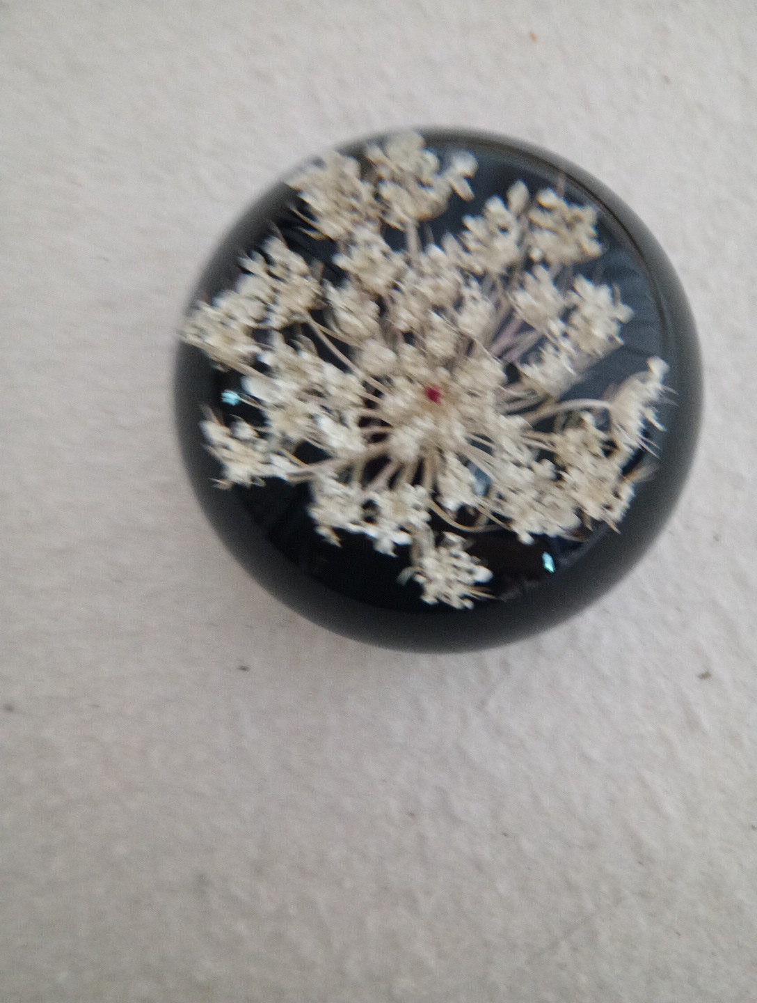 Picture 7 of 8