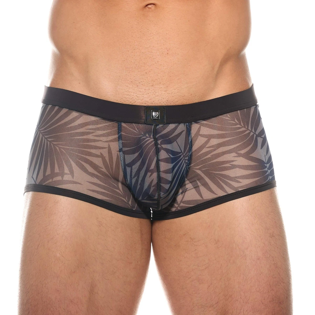 Gregg Homme Outline Boxer Brief mens underwear trunk mesh male short see  through